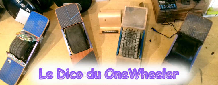 0_1545780971926_Le Dico du onewheeler.jpg